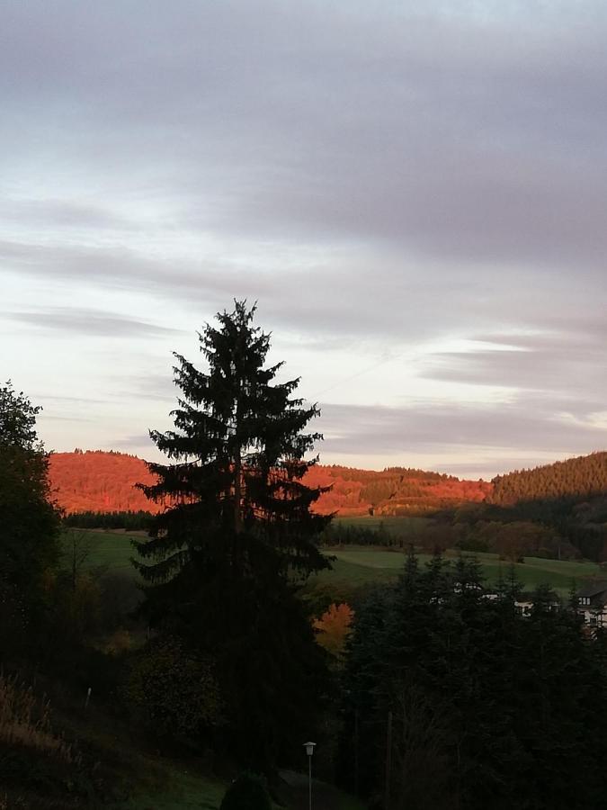Ferienwohnung-In-Schoenster-Lage Baar  Buitenkant foto