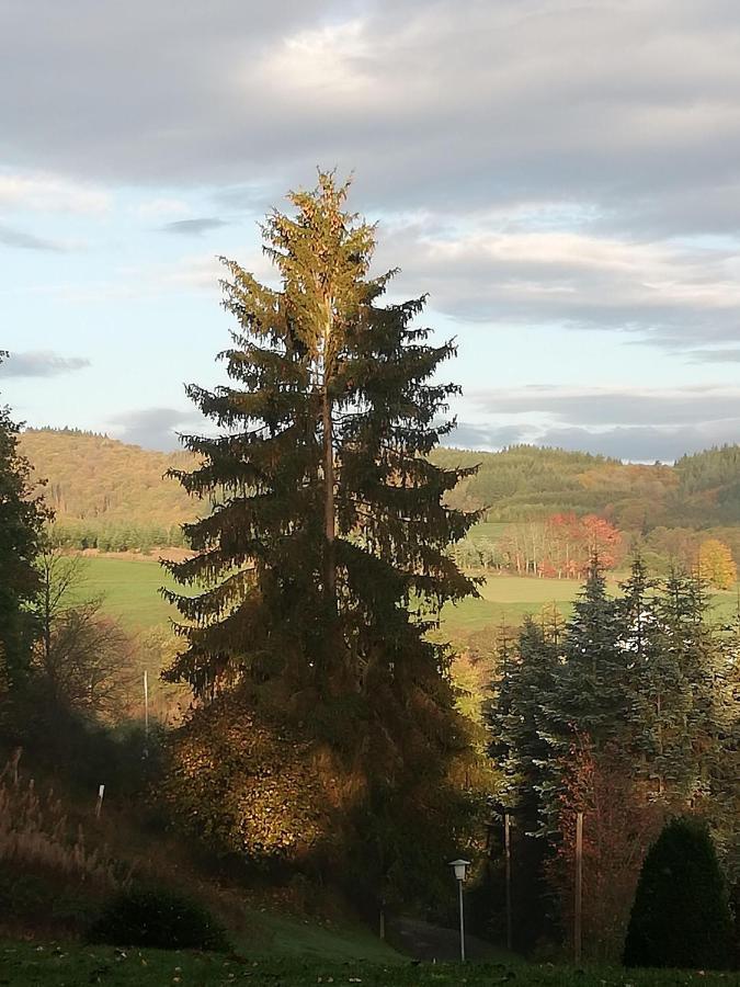 Ferienwohnung-In-Schoenster-Lage Baar  Buitenkant foto