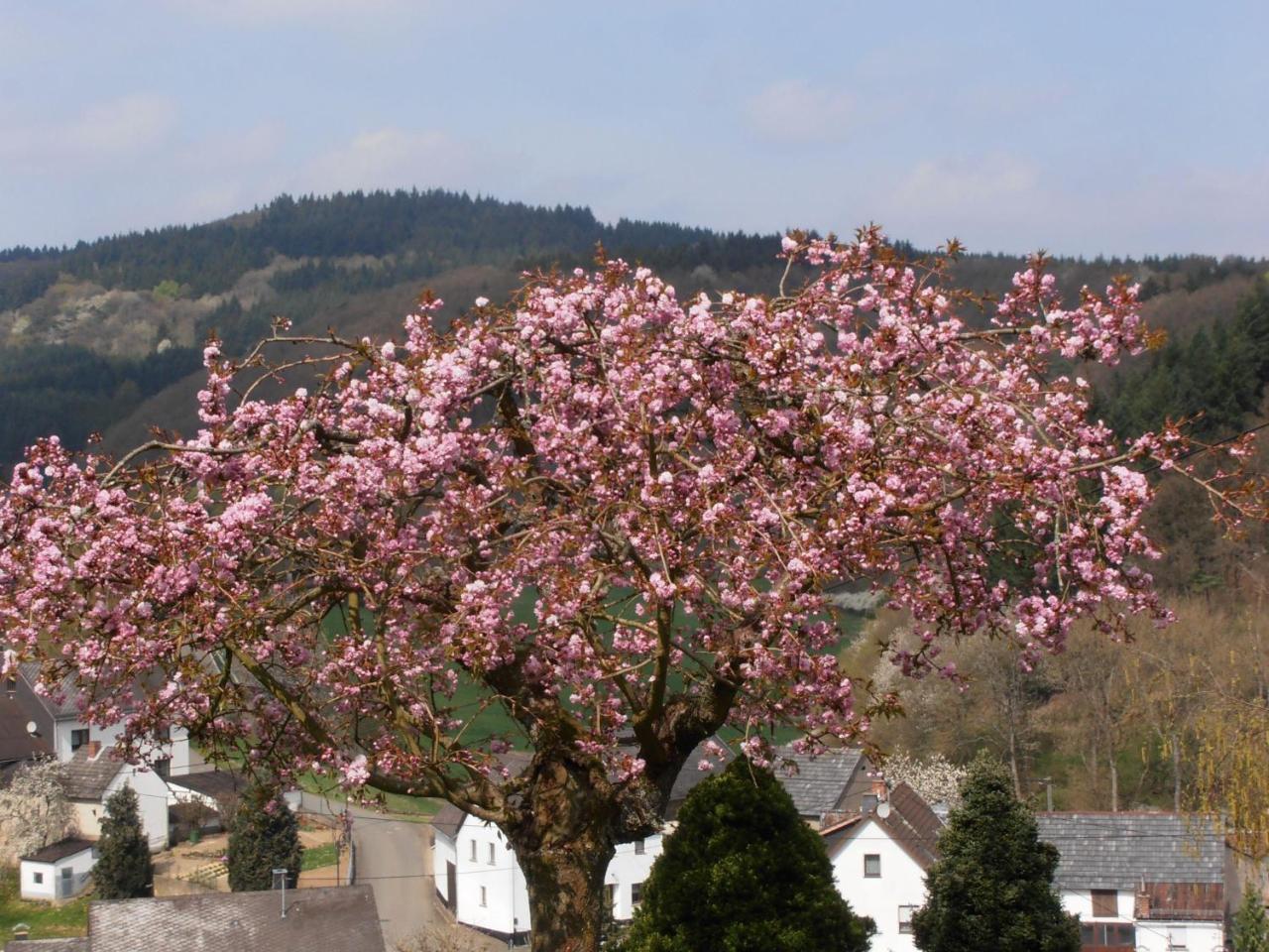 Ferienwohnung-In-Schoenster-Lage Baar  Buitenkant foto